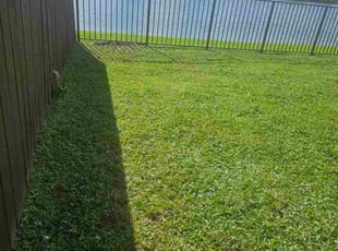 Valorie T.'s lawn service service result