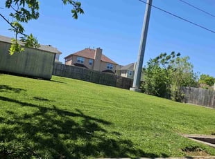 Victoria M.'s lawn care service result