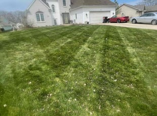 Desiree F.'s lawn care service result