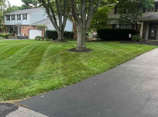 Jim_Carla A.'s lawn maintenance service result