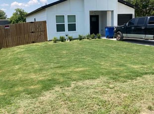 Desiree D.'s turf care service result