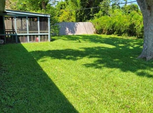 Antis G.'s grass cutting service result