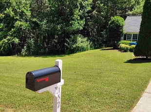 Cherry H.'s lawn maintenance service result