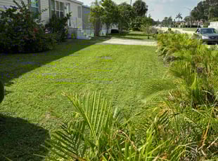 Paul H.'s lawn maintenance service result