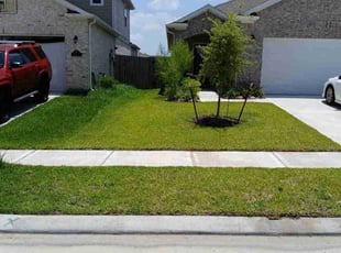 Joe S.'s grass cutting service result