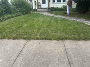 Jonathan S.'s grass maintenance service result