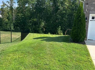 Kelly P.'s grass cutting service result