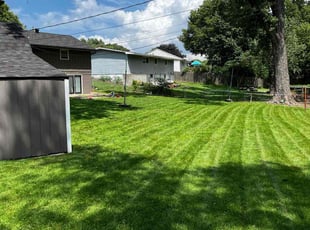 Donna Z.'s turf maintenance service result