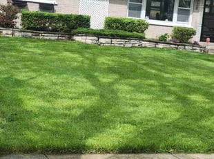 Christopher R.'s Bush Trimming service result