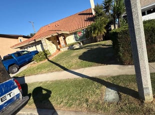 Sean B.'s lawn care services service result