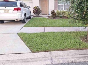 Susan C.'s lawn care service result