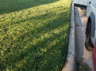 James R.'s Bush Trimming service result