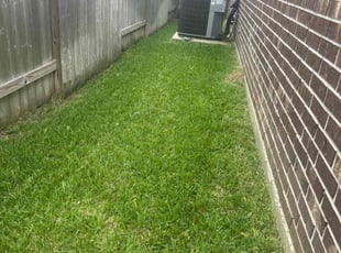 Lynda E.'s grass cutting service result