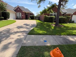 Kaaren H.'s turf care service result