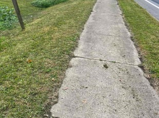 Craig M.'s lawn service service result