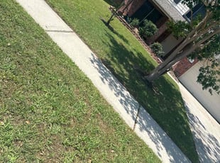 Jeffrey S.'s lawn care services service result