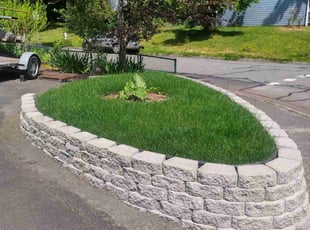 Marc B.'s turf care service result