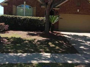 Stephanie H.'s Cleanups service result