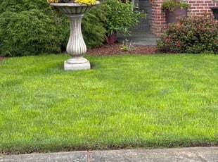 Kimberly C.'s turf care service result