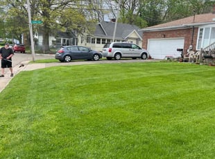 Calvin G.'s lawn service service result