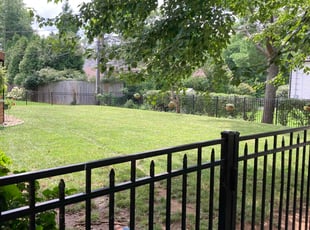 Ray A.'s lawn care services service result