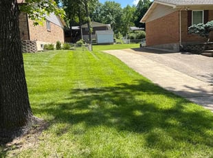 Janet R.'s grass maintenance service result