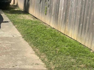 Justin A.'s turf maintenance service result