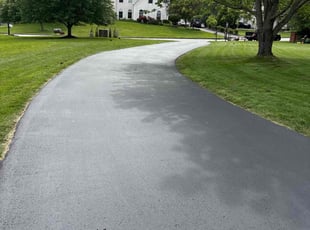 Coreen S.'s grass cutting service result