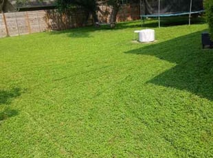 Karen S.'s turf maintenance service result