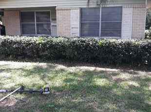 Karen C.'s Bush Trimming service result