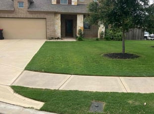 Daniel C.'s lawn care services service result