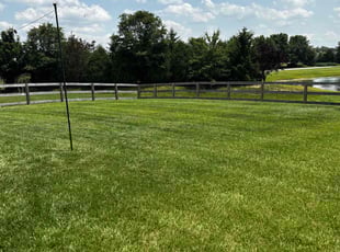 Crystal B.'s lawn care service result