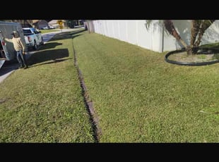 Burneice S.'s grass maintenance service result