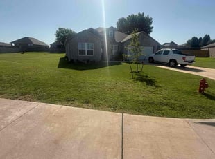 Joyce H.'s grass maintenance service result