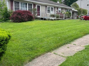 Linda P.'s turf care service result