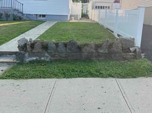 Shauna S.'s turf care service result