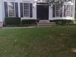 Ayshia H.'s Bush Trimming service result