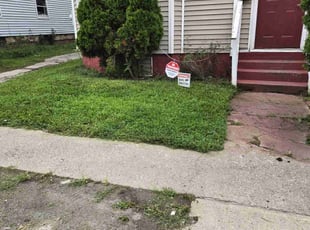 Damon T.'s lawn care service result
