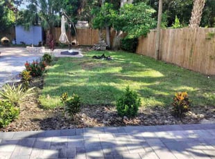 Chris H.'s lawn care services service result