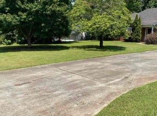 Raquel C.'s turf care service result