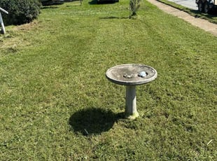 James C.'s turf maintenance service result