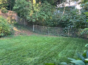 Debra E.'s grass cutting service result