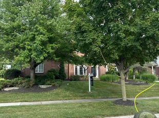 Annabelle T.'s lawn care service result