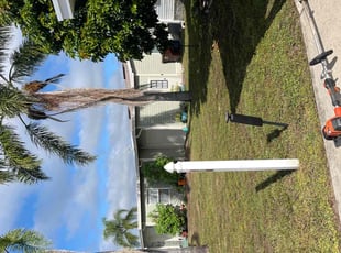 Jill S.'s turf maintenance service result