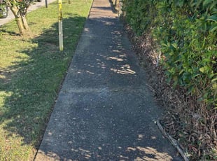 Rose M.'s grass maintenance service result