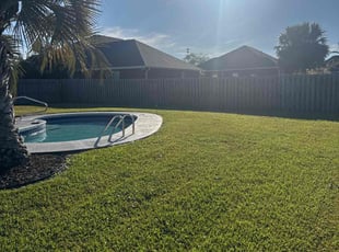 Liz T.'s turf care service result