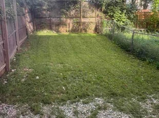 Joseph D.'s lawn care service result