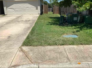 Lisa D.'s grass maintenance service result