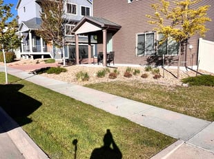 Akuda E.'s turf maintenance service result