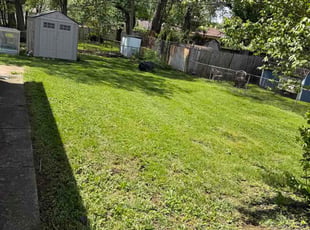 Khylah B.'s grass maintenance service result